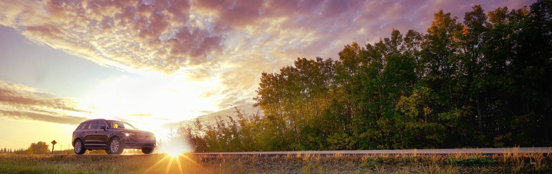 تجارب مُصممة بعناية